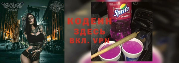 ГАЛЛЮЦИНОГЕННЫЕ ГРИБЫ Гусев