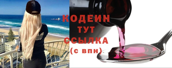 ГАЛЛЮЦИНОГЕННЫЕ ГРИБЫ Гусев