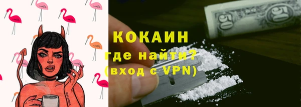 ГАЛЛЮЦИНОГЕННЫЕ ГРИБЫ Гусев