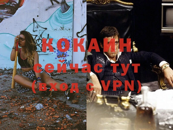 ГАЛЛЮЦИНОГЕННЫЕ ГРИБЫ Гусев