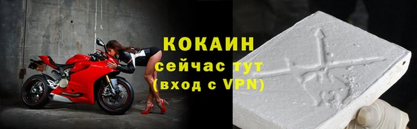 ГАЛЛЮЦИНОГЕННЫЕ ГРИБЫ Гусев