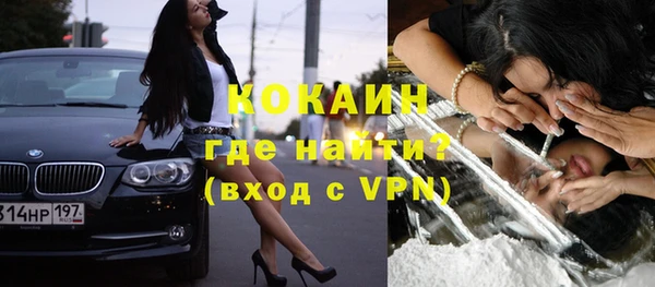 ГАЛЛЮЦИНОГЕННЫЕ ГРИБЫ Гусев